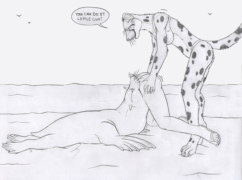 2024 ambient_bird ambiguous_gender ambiguous_pred ambiguous_prey anthro assisted_vore avian bikini biped bird body_in_mouth bra breasts butt callie_(strega) cheetah claws clothed clothing dialogue encouragement english_text felid feline female feral feral_pred flip_flops footwear footwear_only fur greyscale group hand_on_butt head_first hi_res human human_prey mammal marine markings membrane_(anatomy) monochrome mostly_nude neck_bulge nipple_outline oral_vore partially_inside pinniped quadruped same_size_vore sand sandals sea_lion shoes shoes_only short_tail soft_vore speech_bubble spots spotted_body spotted_fur strega swimwear tail text trio underwear underwear_only vore webbed_hands whiskers