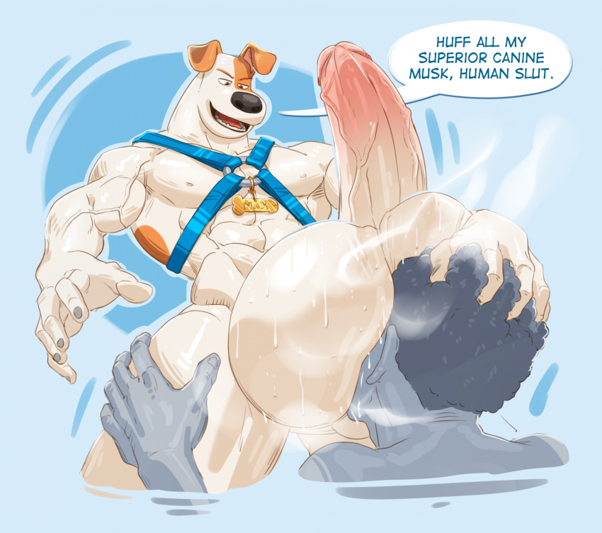 anthro ball_sniffing balls balls_on_face big_balls big_penis canid canine canis domestic_dog duo genitals hi_res huge_balls human humanoid_genitalia humanoid_penis illumination_entertainment lotolotl male male/male mammal max_(the_secret_life_of_pets) muscular penis sniffing the_secret_life_of_pets