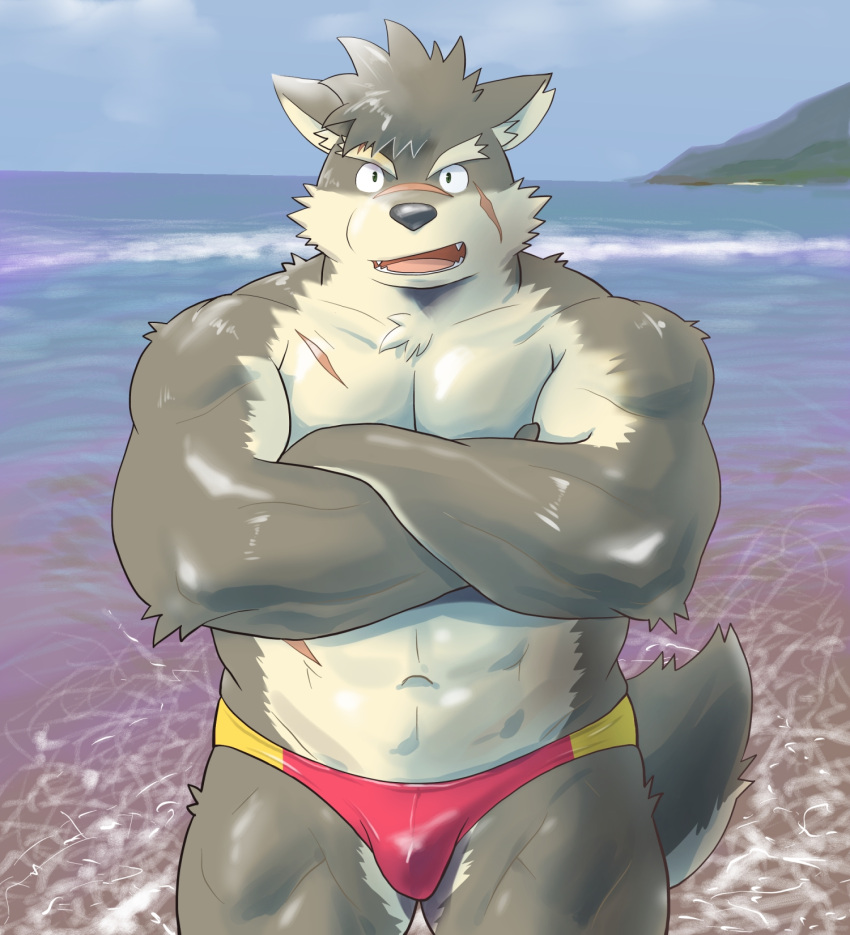 1boy :d abs alternate_muscle_size animal_ears bad_id bad_twitter_id bara brown_fur bulge crossed_arms dog_boy dog_ears fangs fangs_out fawn2661 forearms furry furry_male highres male_focus male_swimwear moritaka_(housamo) multicolored_male_swimwear multiple_scars muscular muscular_male navel pectoral_squeeze pectorals photo_background plump red_male_swimwear scar smile solo thick_eyebrows tokyo_afterschool_summoners yellow_male_swimwear