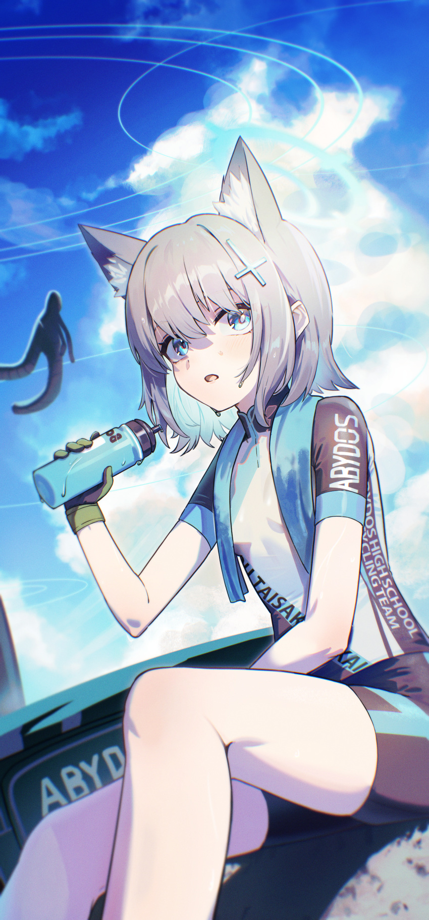 1girl absurdres animal_ear_fluff animal_ears bicycle bike_jersey bike_shorts blue_archive blue_halo blue_sky bottle breasts clothes_writing cross_hair_ornament extra_ears feet_out_of_frame grey_hair hair_between_eyes hair_ornament halo highres holding holding_bottle mismatched_pupils official_alternate_costume open_mouth pyytato shiroko_(blue_archive) shiroko_(cycling)_(blue_archive) short_hair short_sleeves sitting sky small_breasts solo sweat towel towel_around_neck two-tone_gloves wolf_ears