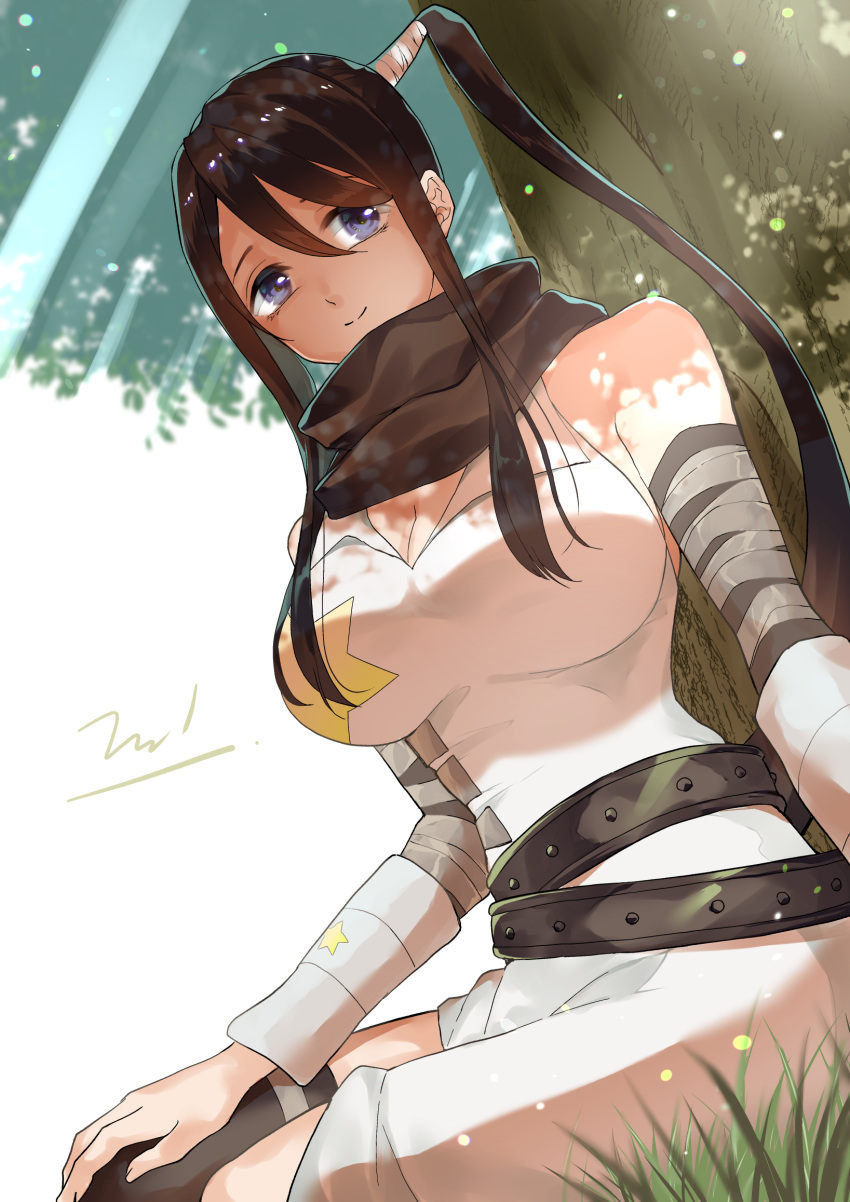 1girl bandaged_arm bandages bare_shoulders black_hair blue_eyes breasts cleavage high_ponytail highres large_breasts long_hair looking_to_the_side nakatsukasa_tsubaki nambu_01 ninja outdoors signature sitting solo soul_eater star_(symbol) tree under_tree