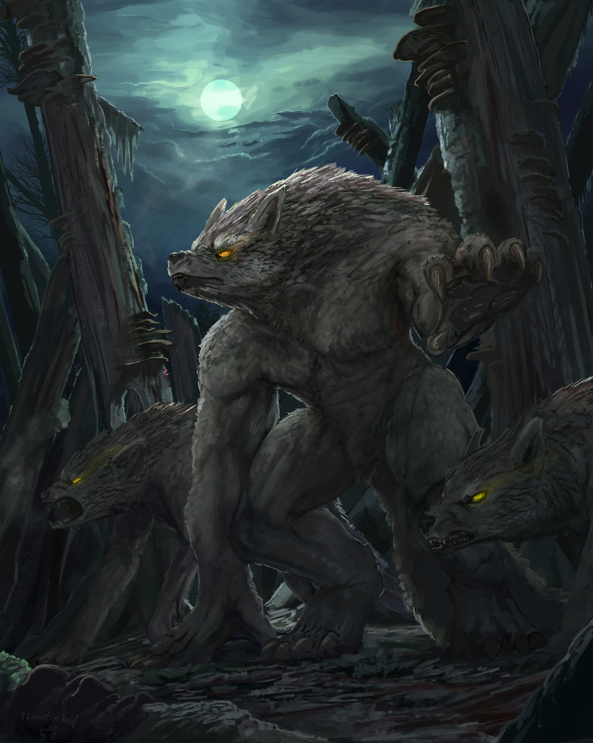 5_fingers black_nose canine claws detailed_background digitigrade fur grey_fur group mammal moon night nude open_mouth sky teeth themefinland were werewolf yellow_eyes