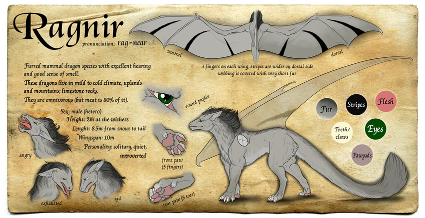 claws digital_media_(artwork) dragon feral fur green_eyes grey_fur grey_hair hair male membranous_wings model_sheet natoli open_mouth paws smile solo standing teeth wings