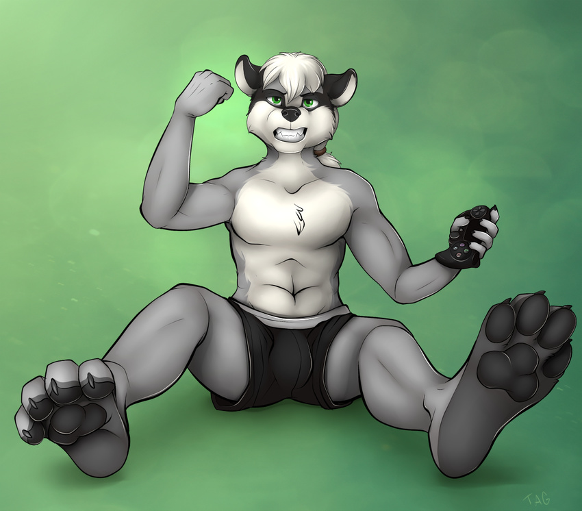 anthro bulge clothing fangs looking_at_viewer male mammal navel raccoon sitting solo staggard teeth underwear video_games