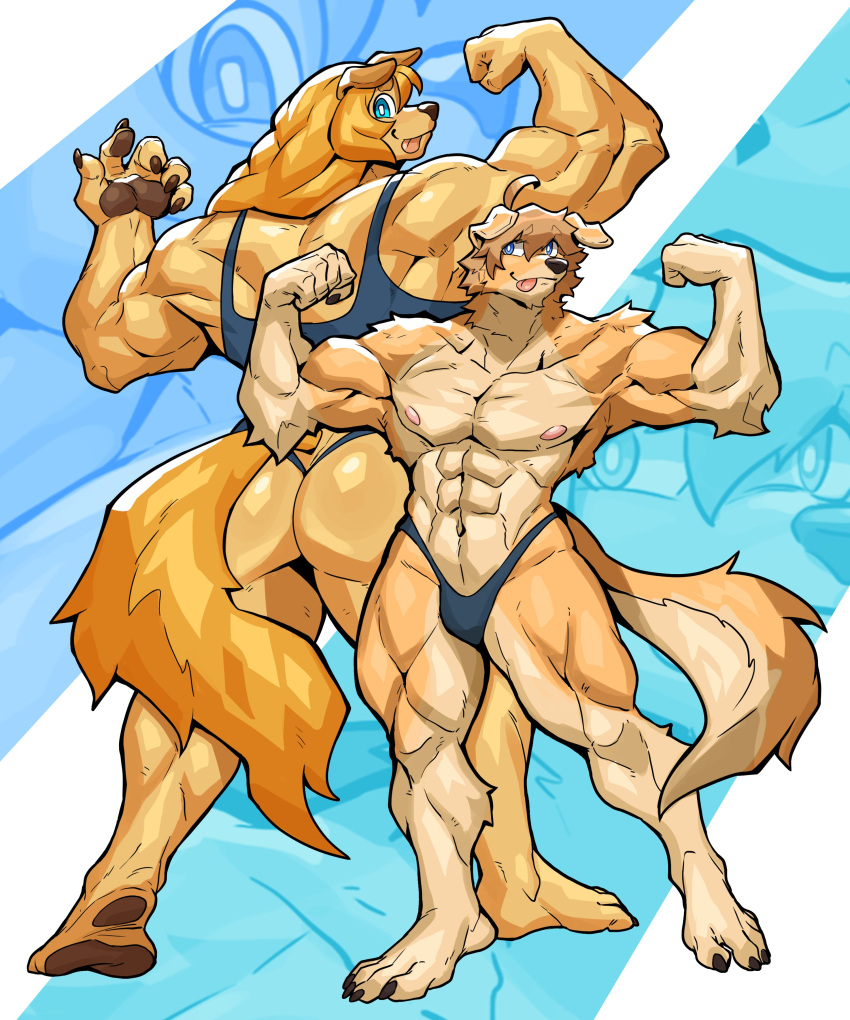 2024 4_toes 5_fingers abs absurd_res ahoge anthro barefoot biceps big_butt bird_dog black_nails blep blonde_hair blue_eyes bra braided_hair brown_nails butt canid canine canis ceehaz clothing colored_nails dog_knight_rpg domestic_dog duo extremedash feet female fingers flexing flexing_bicep flexing_both_biceps floppy_ears fur golden_retriever hair hi_res humanoid_feet hunting_dog jeane_(ceehaz) jockstrap long_hair looking_at_viewer looking_back looking_back_at_viewer male mammal nails navel nipples pawpads plantigrade quads raised_heel retriever soles sports_bra sports_panties standing stinky_(extremedash) tan_body tan_fur toes tongue tongue_out underwear yellow_body yellow_fur