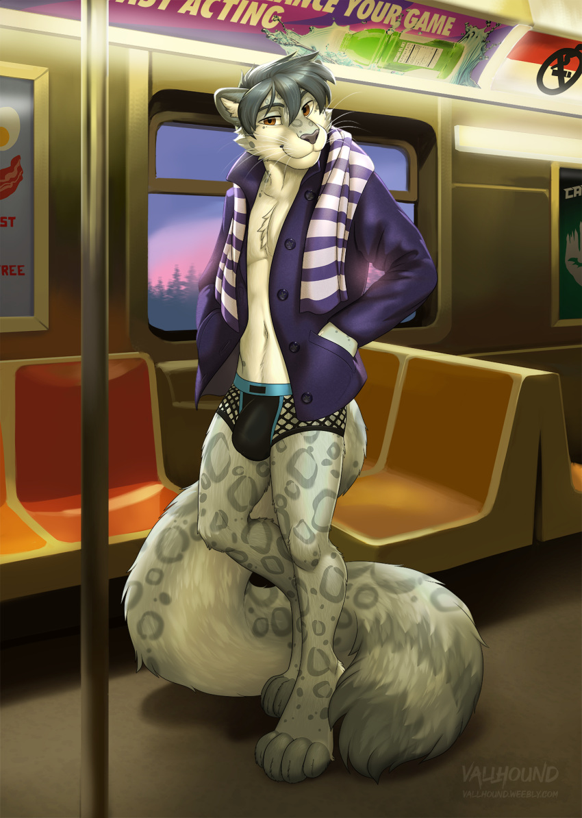 anthro barefoot big_tail bulge clothed clothing countershade_toes feet felid hand_in_pocket hi_res jockstrap looking_at_viewer male mammal novus open_clothing open_shirt open_topwear pantherine pockets public public_exposure rapid_transit shirt slim smile smiling_at_viewer smirk smirking_at_viewer snow_leopard solo sunset tail tail_wrapped topwear underwear vallhound whiskers