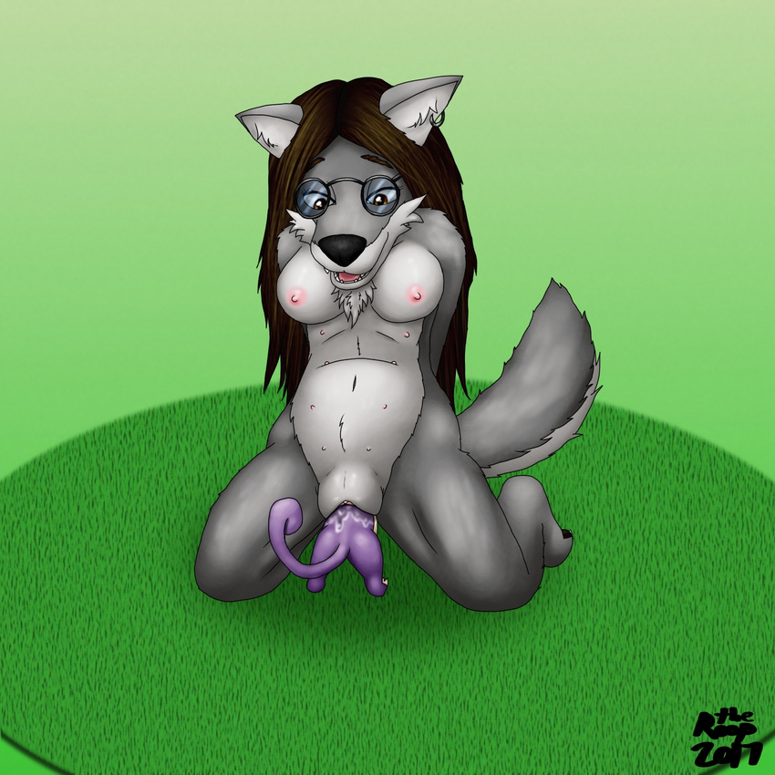 2017 anthro anthro_on_feral areola bestiality breasts brown_hair canine duo ear_piercing english_text eyewear female feral fur glasses grass green_background grey_fur hair interspecies larger_female long_hair mammal multi_nipple nintendo nipples nude penetration piercing pink_nipples pok&eacute;mon purple_fur pussy pussy_juice rattata rodent signature simple_background size_difference smaller_ambiguous smile solo_focus stripes text the_roop unbirthing vaginal vaginal_penetration video_games vore