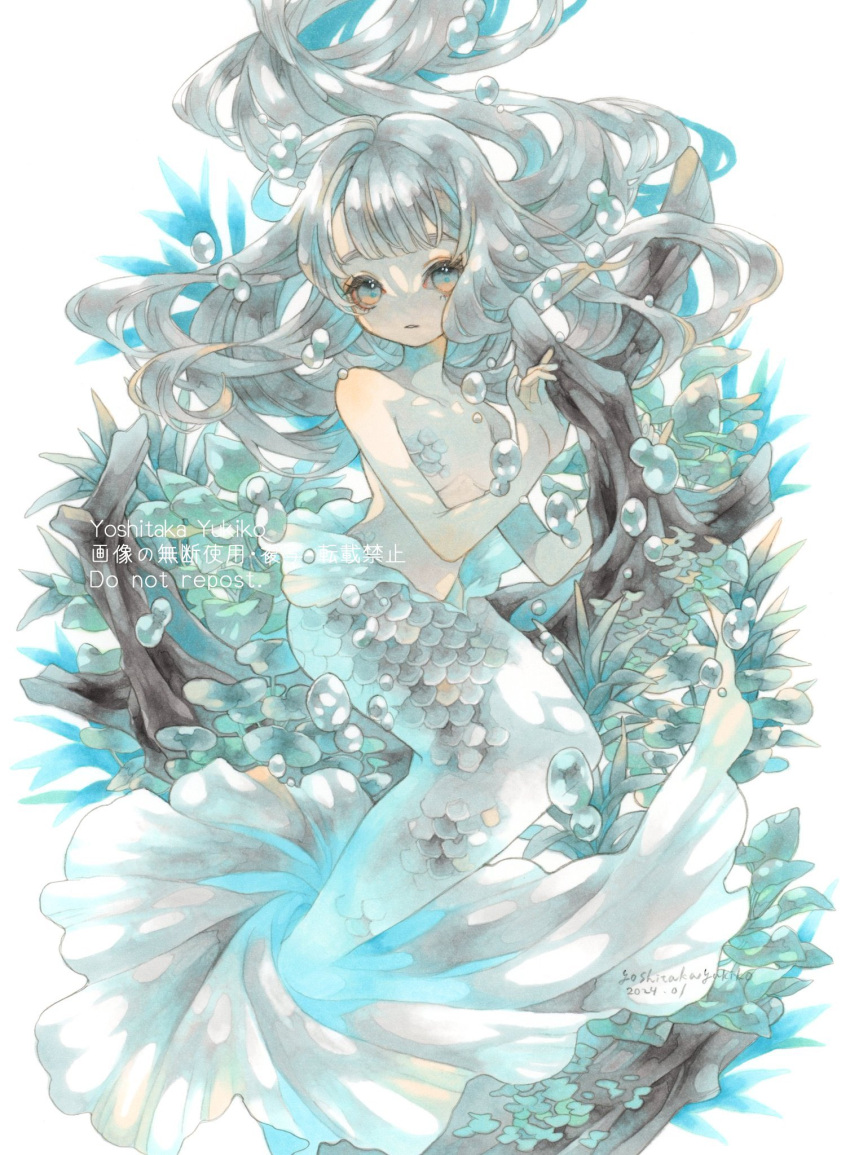 1girl 2023 air_bubble artist_name blue_eyes bubble closed_mouth collarbone dated floating_hair full_body grey_hair highres long_hair looking_at_viewer mermaid monster_girl original signature simple_background solo tree underwater watermark white_background yoshitaka_a3