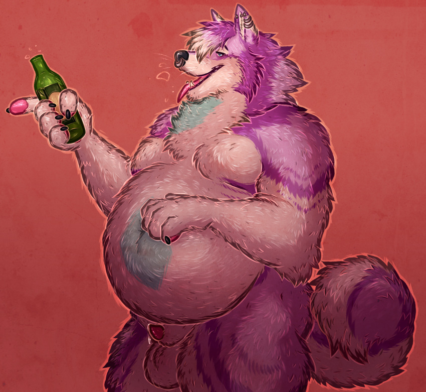 5_fingers alcohol animal_genitalia anthro balls beer beer_bottle belly beverage big_belly blue_eyes bodily_fluids bottle canid canine canine_genitalia canis container digital_media_(artwork) domestic_dog dripping drunk ear_piercing facial_piercing fingers fur genital_fluids genitals hi_res holding_beverage holding_object husky industrial_piercing male mammal moobs navel nordic_sled_dog nose_piercing open_mouth overweight overweight_anthro overweight_male piercing precum precum_drip purple_body purple_fur septum_piercing sheath simple_background solo spitz substance_intoxication tailtufts teeth tongue white_body white_fur