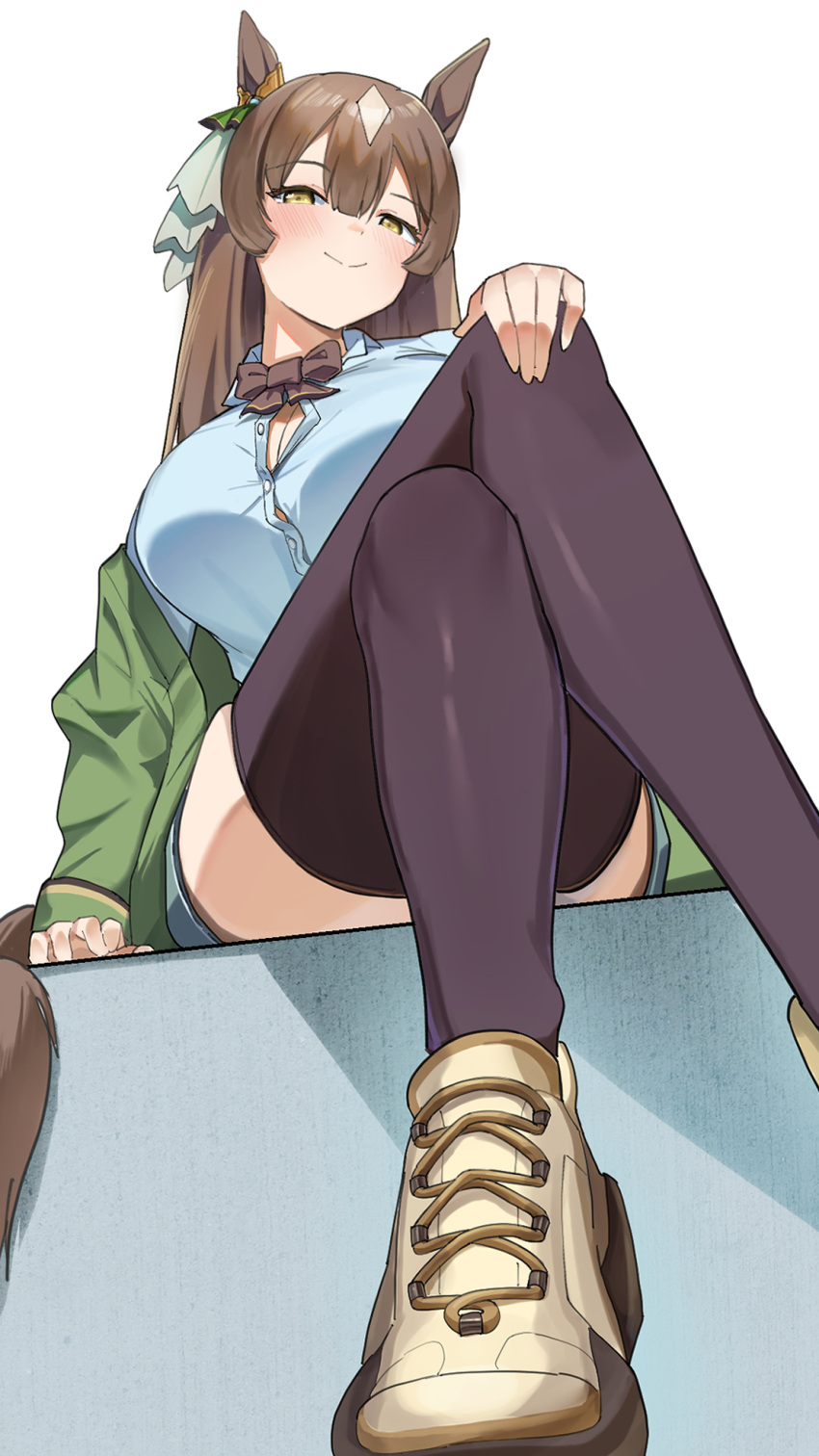 1girl alternate_costume amepa_(ame_pinecandy) animal_ears black_thighhighs blue_shirt blush breasts brown_hair button_gap closed_mouth commentary_request crossed_legs ear_ribbon from_below highres horse_ears horse_girl horse_tail large_breasts long_hair looking_at_viewer satono_diamond_(umamusume) shirt shoes simple_background smile tail thighhighs umamusume white_background yellow_eyes