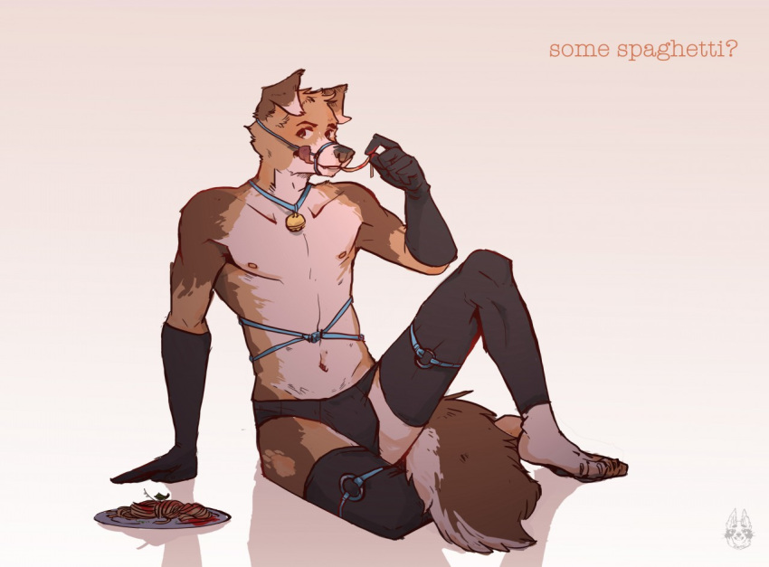 anatomy anthro bdsm bondage bound bulge canine clothing clumsy.raccoon daven dog drawing floppy_ears food fur italian legwear looking_at_viewer male mammal manly meme pasta simple_background socks solo spaghetti thigh_socks tongue white_background