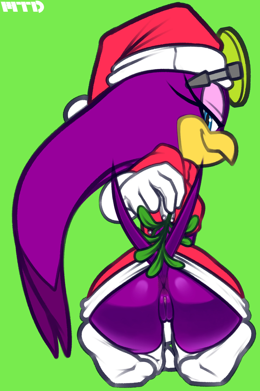 2017 absurd_res anus avian bird butt camel_toe christmas clothed clothing eyewear female flat_chested glasses gloves hat hi_res holidays legwear looking_at_viewer marthedog mistletoe pantyless plant pussy smile socks solo sonic_(series) sonic_riders swallow_(bird) thigh_highs underwear wave_the_swallow