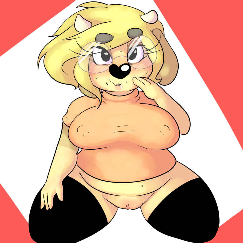2015 anthro big_breasts black_nose blonde_hair blush bottomless bovine breasts cattle clitoris clothed clothing eyewear female fur glasses hair hand_on_leg horn kneeling legwear looking_at_viewer lydia_hudson mammal nipple_bulge open_mouth orange_shirt pussy red_background shirt simple_background sitting slightly_chubby smile solo sprocket_(artist) stockings sweat tan_fur white_background wide_hips