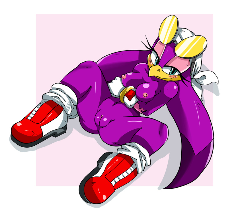 anthro avian bandanna beak bird blush breasts clothing digital_media_(artwork) eyewear female glasses gloves lying mammal nipples nude on_back purple_pussy purple_skin pussy shiny simple_background sneakers solo sonic_(series) sonic_riders spread_legs spreading sssonic2 sunglasses swallow_(bird) wave_the_swallow white_background white_socks