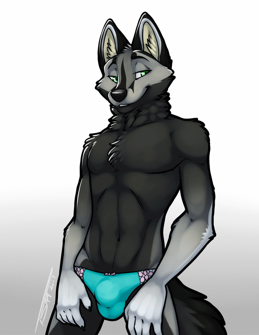 black_fur bulge canine clothed clothing crossdressing elsilentfox fox fur girly green_eyes grey_fox grey_fur looking_away_from_viewer male mammal panties pinup pose simple_background solo tsaiwolf twink underwear