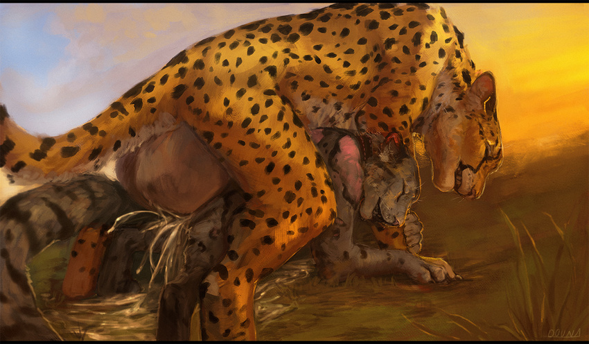 2016 anal anal_penetration anthro anthro_on_feral balls bestiality big_balls biped black_fur black_spots black_tail cheetah clouded_leopard cum cum_in_ass cum_inside cum_on_ground cum_splatter digital_media_(artwork) digital_painting_(artwork) duo excessive_cum eyes_closed feline feral from_behind_position fur grass grey_fur grey_tail huge_balls hyper hyper_balls jasiri leopard letterbox male male/male male_on_feral male_penetrating mammal mounting multicolored_fur multicolored_tail nude oouna open_mouth orgasm outside penetration pink_fur quadruped sex signature sky spots spotted_fur spotted_tail two_tone_tail whiskers white_balls white_fur white_tail yellow_fur yellow_tail