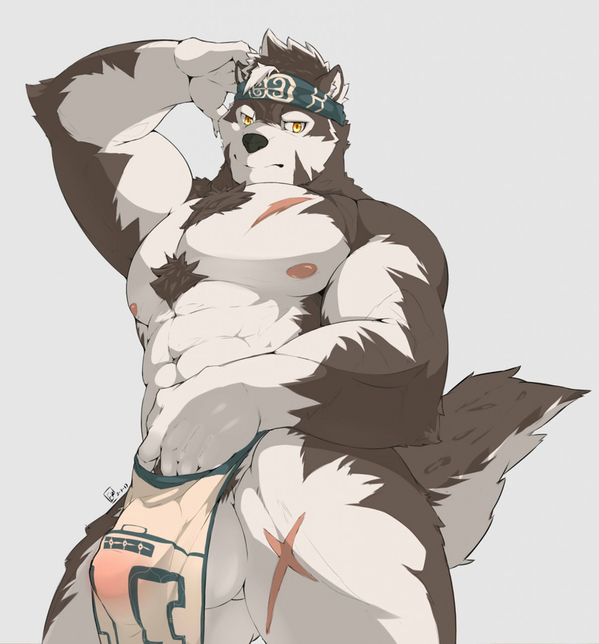 2017 5_fingers abs anthro balls biceps big_muscles black_nose body_hair bulge canine cheek_tuft chest_hair chest_tuft claws clothed clothing countershade_face countershade_tail countershade_torso essentialryu flaccid fluffy fluffy_tail fur grey_background grey_fur hair hi_res horkeukamui humanoid_hands humanoid_penis inner_ear_fluff loincloth looking_at_viewer male mammal multicolored_fur multicolored_hair muscular nipples pecs penis penis_outline perineum pink_nipples pointy_ears pubes scar simple_background solo standing tokyo_afterschool_summoners topless tuft two_tone_fur two_tone_hair two_tone_tail white_balls white_claws white_countershading white_fur wolf yellow_eyes