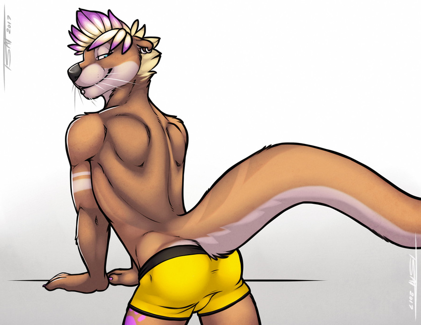 blue_eyes brown_fur clothing fur gemini_the_otter looking_at_viewer male mammal mustelid otter piercing pinup pose presenting solo tsaiwolf underwear