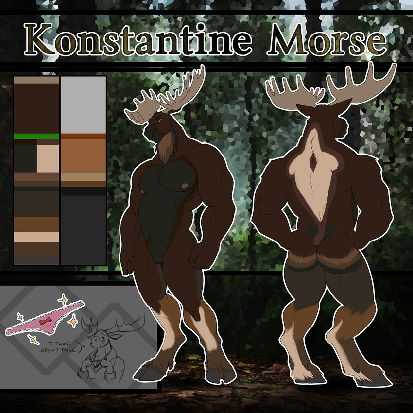 anthro antlers avias_(artist) cervine cuntboy horn intersex looking_at_viewer mammal model_sheet moose muscular nipples nude pussy solo standing