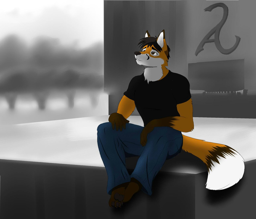 anthro avias_(artist) canine clothed clothing fox fur hair male mammal outside sitting smile solo