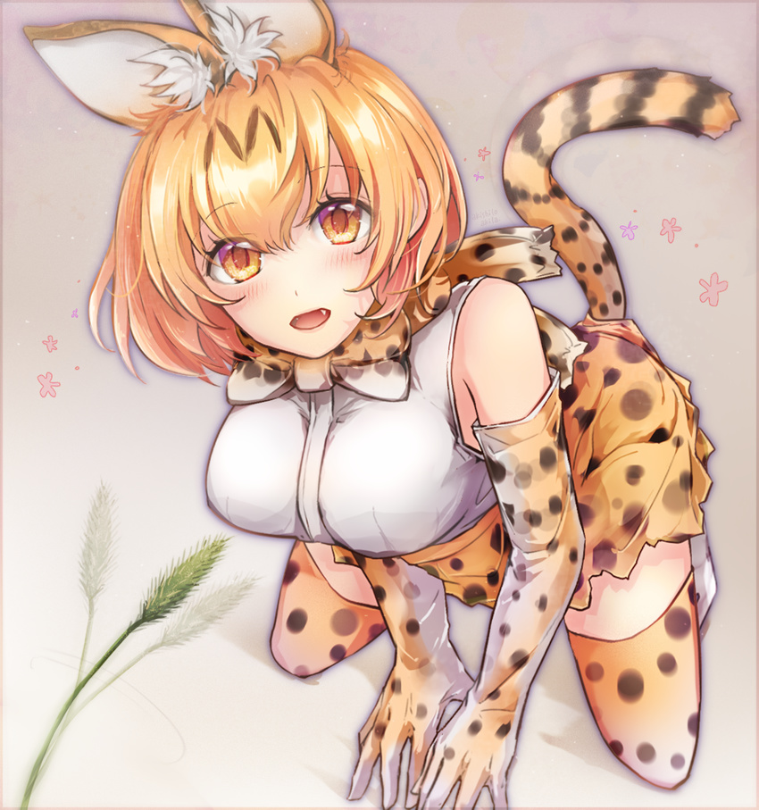 :d akira_(aky-la) animal_ears bad_id bad_pixiv_id blonde_hair breasts cat_teaser commentary_request fangs from_above highres kemono_friends kneeling looking_at_viewer looking_up medium_breasts open_mouth serval_(kemono_friends) serval_ears serval_print serval_tail short_hair smile solo tail thighhighs yellow_eyes zettai_ryouiki