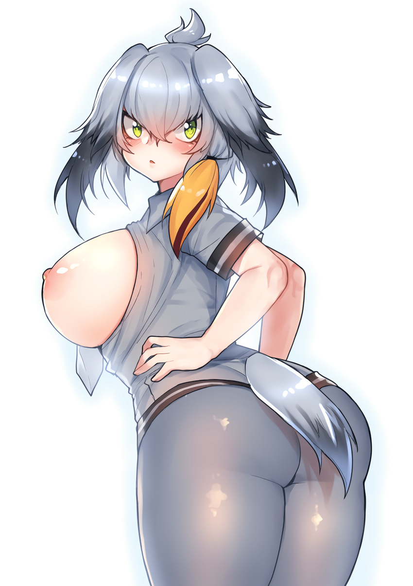 1girl areolae ass bird black_hair blush breasts breasts_outside curvy green_eyes grey_hair kemono_friends large_breasts looking_at_viewer looking_back nipples open_clothes open_shirt osiimi_(artist) shirt shoebill shoebill_(kemono_friends) simple_background solo thick_thighs thighs waifu2x wide_hips