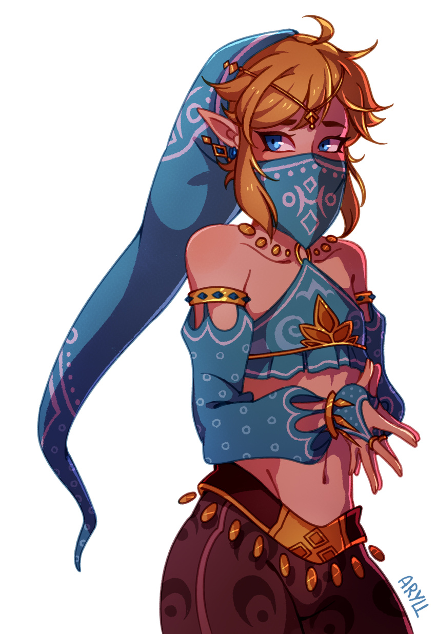 aryll clothed clothing crossdressing elf humanoid link male nintendo solo the_legend_of_zelda video_games