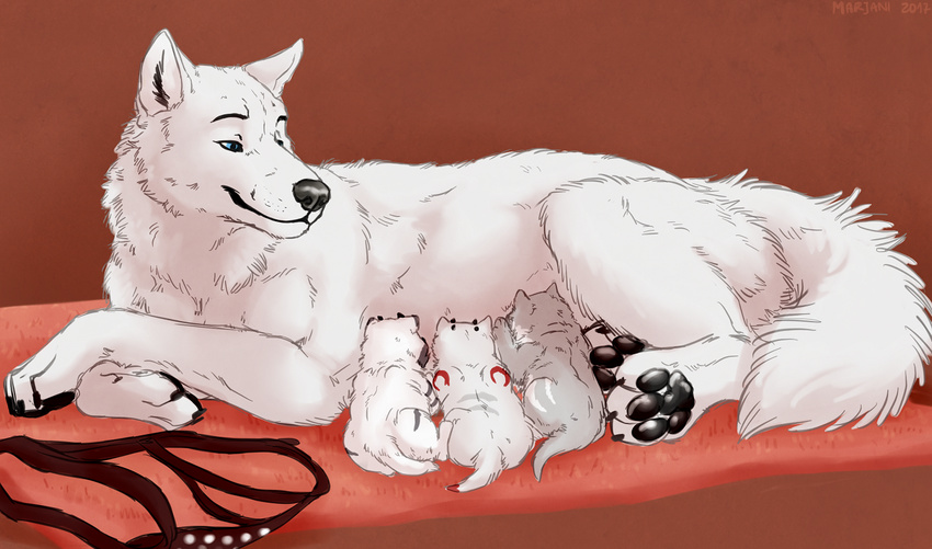 2017 baby black_nose blue_eyes breastfeeding brown_background canine cub fluffy fluffy_tail fur looking_to_side lying mammal marjani mother on_side pads_(disambiguation) parent pawpads paws simple_background smile tagme tattoo white_fur wolf young