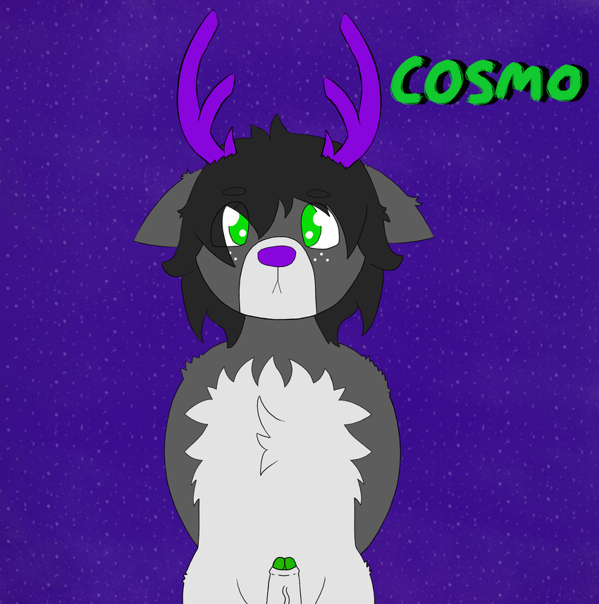 absurd_res antlers black_hair cervine chest_tuft chibi cosmo deer fluffy fur grey_fur hair hi_res horn mammal markings penis purple_nose shy simonsaysgreen simple_background text tuft uncut