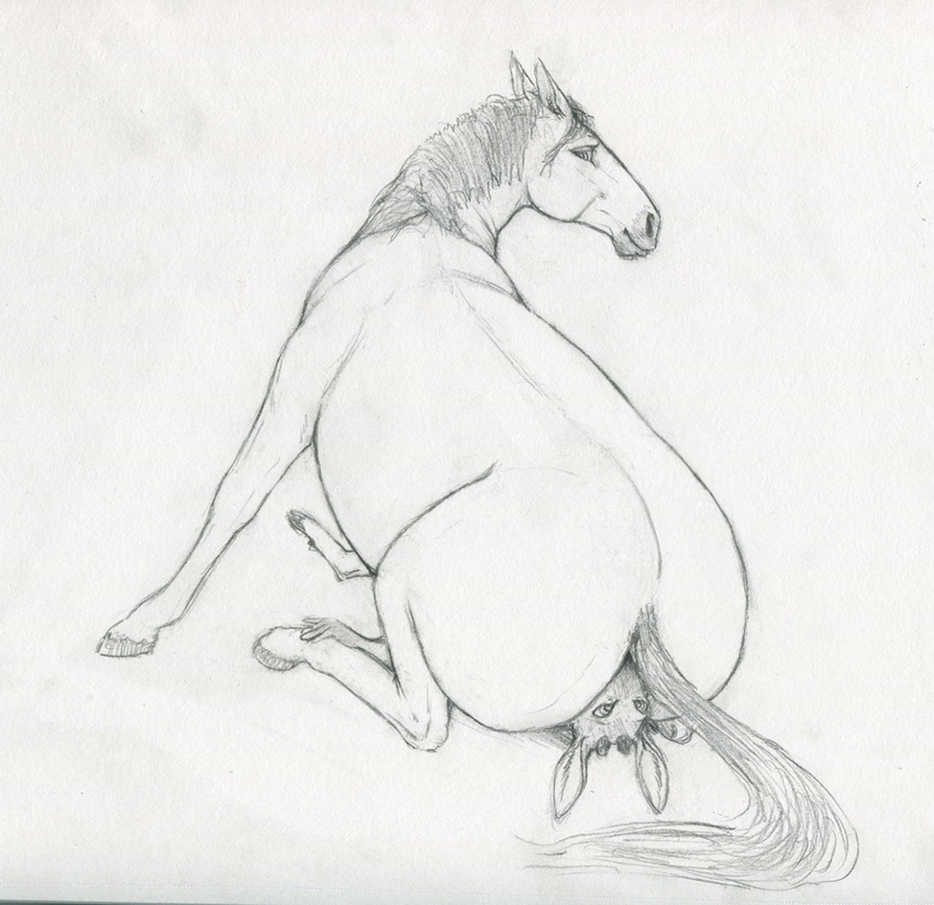 2017 anthro anthro_on_feral bestiality big_butt butt difetra duo equine facesitting feral fur hooves horse lagomorph mammal monochrome nude pencil_(artwork) rabbit simple_background traditional_media_(artwork) white_background