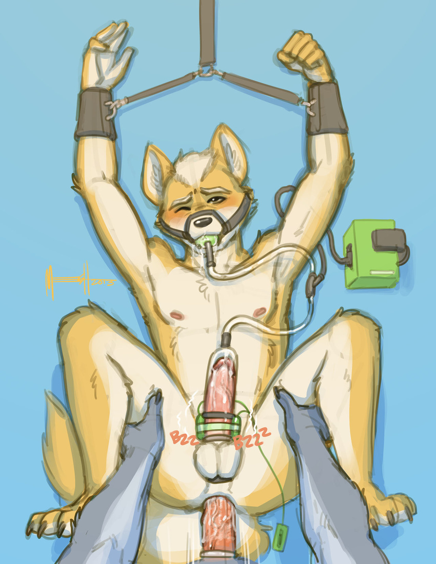 anal anal_penetration anthro armpits bdsm blush bondage bound canine cock_ring condom cum_circulation digital_media_(artwork) duo force_feeding forced forced_orgasm fox fox_mccloud gag gagged humanoid_penis lying machine male male/male mammal meesh milking_machine muzzle_(object) muzzled nintendo on_back orgasm penetration penis penis_milking penis_pump sex star_fox testicle_cuff text video_games wolf wolf_o'donnell