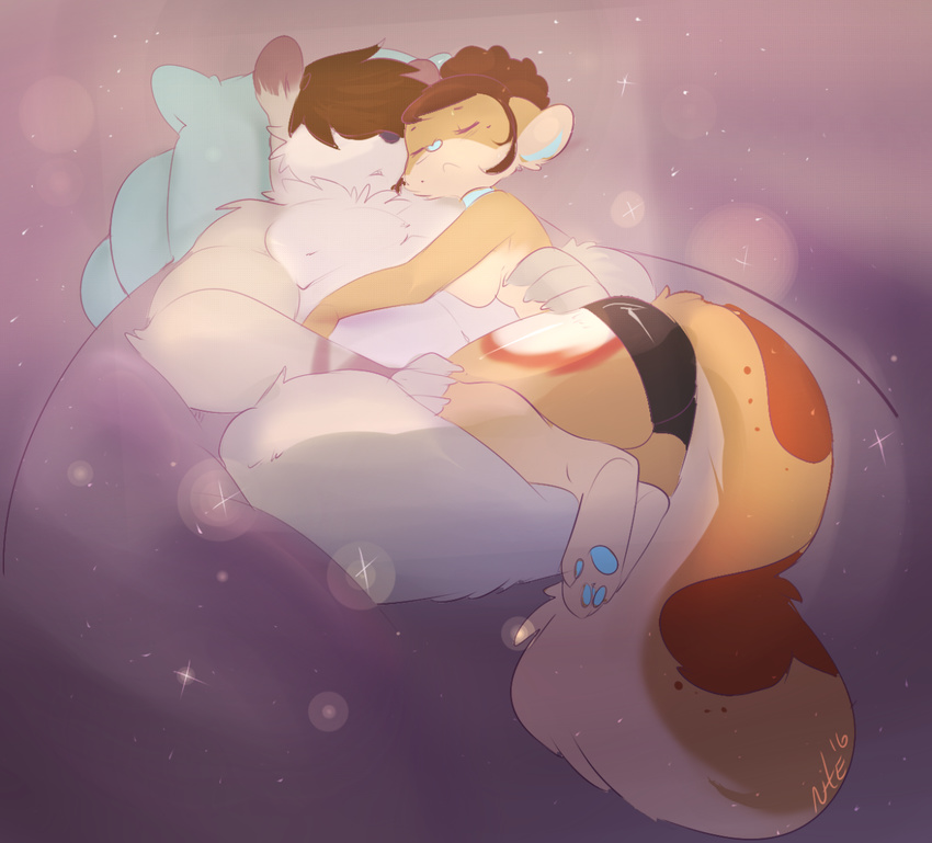 anthro bear breasts chinchilla clothed clothing duo eyes_closed female fur hair hug male male/female mammal muscular nite nude pillow rodent sleeping