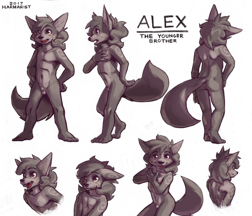 2017 alex_(harmarist) animal_genitalia anthro balls black_nose brown_eyes butt canine character_name child cub cute_fangs ears_down english_text expressions eyebrows freckles front_view frown fully_sheathed fur fur_markings grey_fur hair hand_on_chest hands_on_hips harmarist looking_at_viewer male mammal markings navel nude open_mouth open_smile rear_view sheath simple_background smile solo standing text white_background wolf young