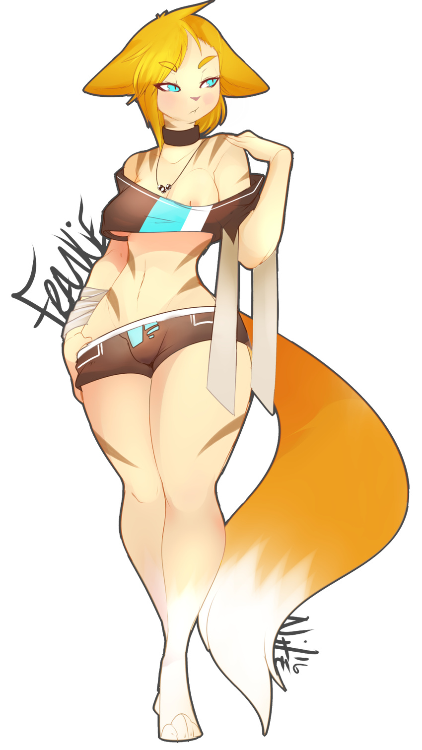 animal_humanoid blush breasts canine clothed clothing collar female fox fox_humanoid humanoid jewelry mammal necklace nipples nite solo standing wide_hips