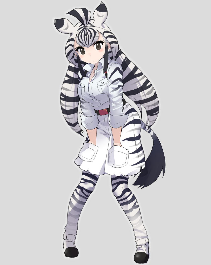 animal_ears animal_print bad_id bad_nicoseiga_id belt black_eyes black_hair breast_pocket breasts chapman's_zebra_(kemono_friends) cibo_(killy) collared_shirt commentary_request dot_nose eyelashes grey_background grey_hair hands_in_pockets highres kemono_friends large_breasts long_hair looking_at_viewer multicolored_hair partially_unbuttoned pocket safari_jacket shirt shoes shorts simple_background sleeves_rolled_up solo standing striped striped_clothes striped_legwear striped_shorts tail white_hair white_shirt wing_collar zebra_ears zebra_print zebra_tail