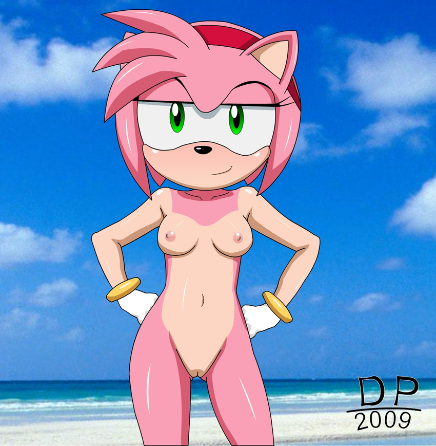 amy_rose anthro beach breasts dp female nipples seaside sega solo sonic_(series) sonic_team unknown_artist