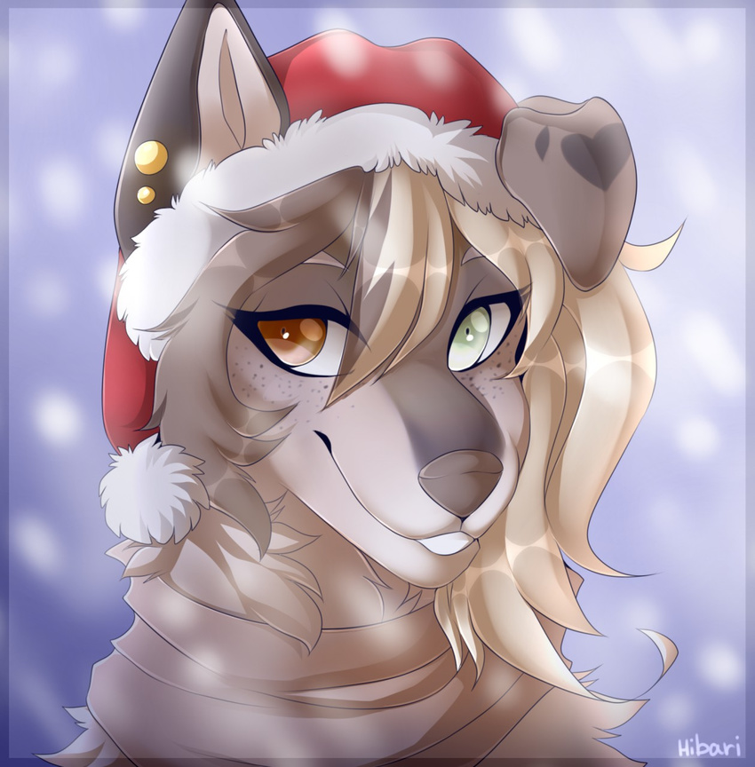 ambiguous_gender anthro canine christmas fur hair hat heterochromia hibarikatsuru holidays looking_at_viewer mammal santa_hat smile solo