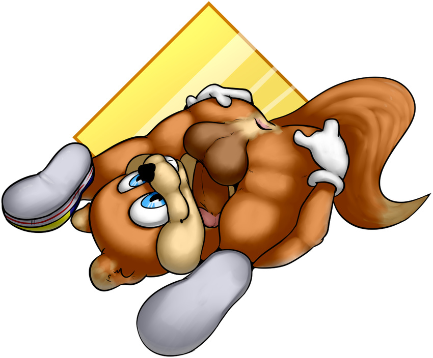 anthro anus balls conker conker's_bad_fur_day inisuu male mammal penis rodent solo squirrel video_games