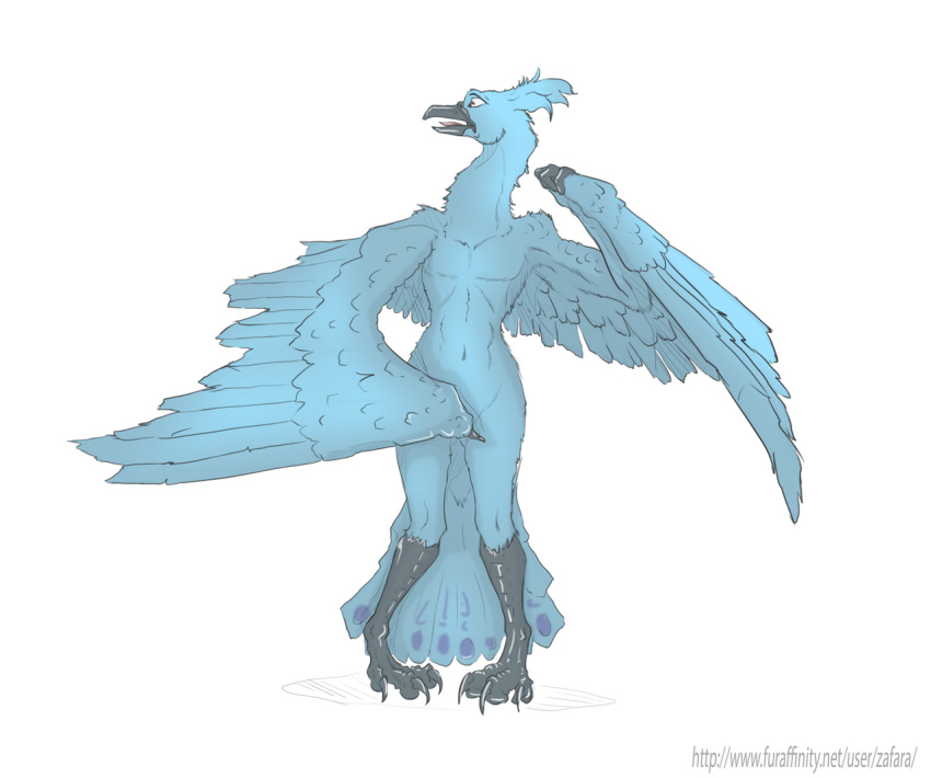 anthro avian bird covering covering_self embarrassed girly himeric male muscular navel neopets nude peafowl wide_hips wings zafara