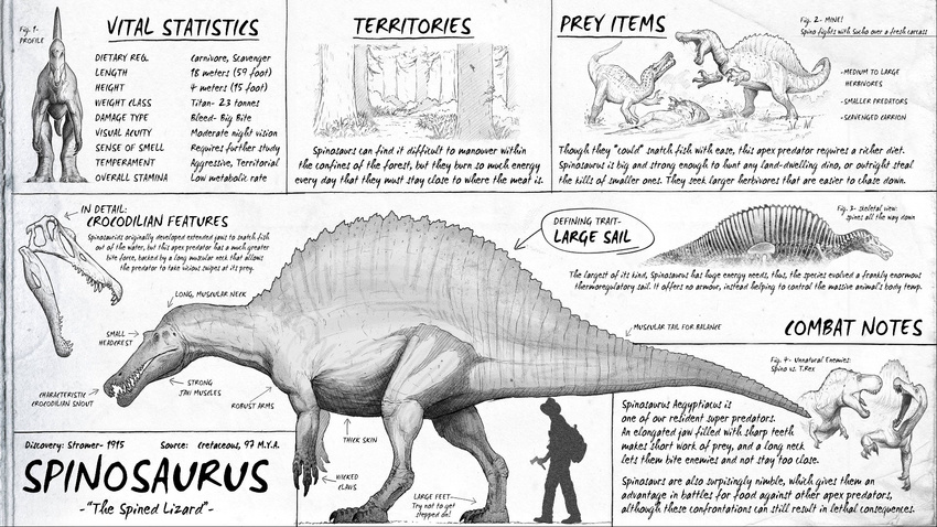 3_fingers 3_toes ambiguous_gender bone claws dinosaur male sail size_difference skull smaller_male spinosaurus study suchomimus_(species) teeth the_isle theropod toes tyrannosaurus_rex