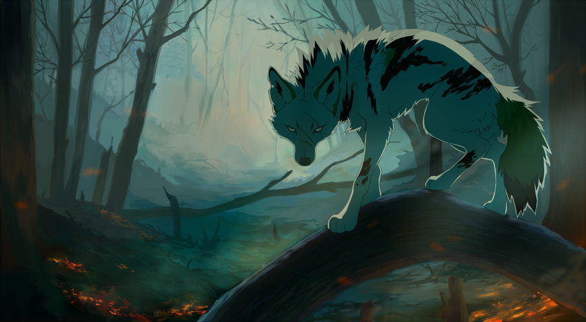 akitamonster ambiguous_gender canine day detailed_background feral forest fur looking_at_viewer mammal outside paws solo standing tree white_fur wolf