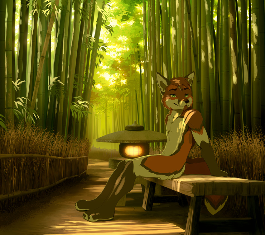 akitamonster anthro bamboo brown_hair canine day detailed_background fox fur green_eyes hair male mammal nude orange_fur outside sitting smile solo white_fur