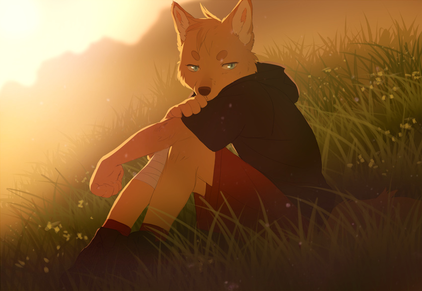 akitamonster anthro blue_eyes canine clothed clothing day detailed_background fox grass male mammal outside sitting solo