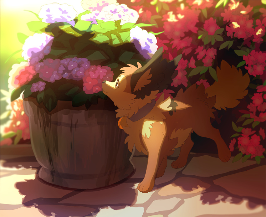 akitamonster black_nose canine day detailed_background dog feral flower mammal outside paws plant solo standing