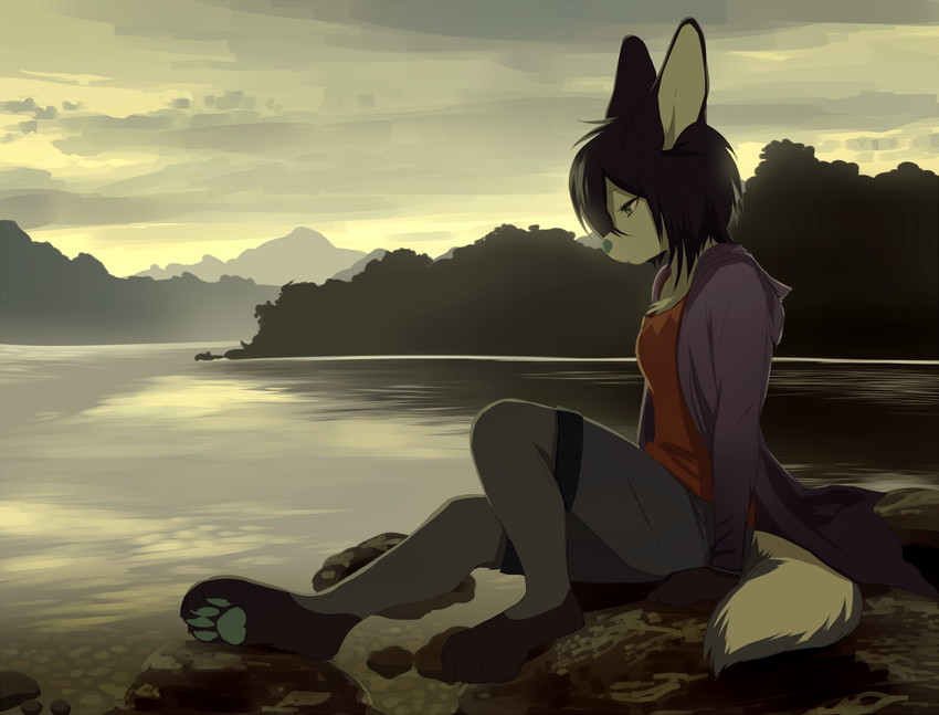 akitamonster anthro barefoot black_hair canine clothed clothing day detailed_background digitigrade female fennec fox fur hair mammal outside pawpaws sitting solo water white_fur