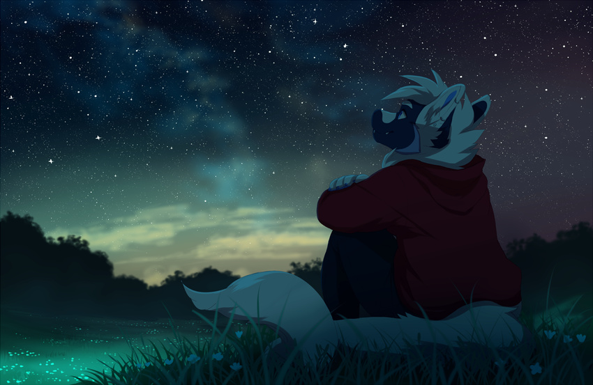 akitamonster anthro canine clothed clothing detailed_background fur grass hair male mammal night sitting sky smile solo star starry_sky white_fur white_hair