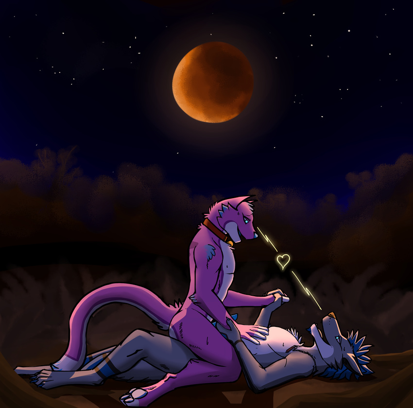 bleiz canine cat couple_(disambiguation) feline fur heliphass hi_res love male male/male mammal moon nature night purple_fur ray ray-bleiz sex tifenius wolf