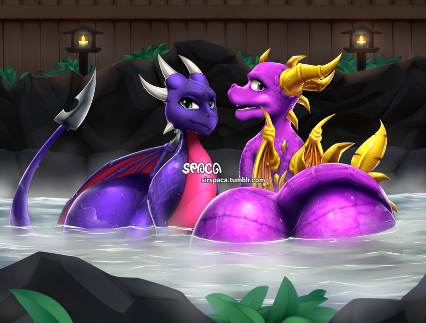 ambiguous_gender big_butt butt cynder dragon duo horn hot_spring huge_butt hyper hyper_butt looking_at_viewer looking_back membranous_wings purple_eyes purple_scales scales scalie spacascaleno spyro spyro_the_dragon video_games water wet wings