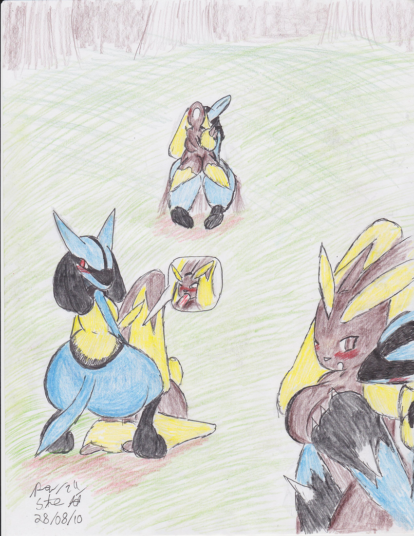 lopunny lucario nintendo pokemon streled