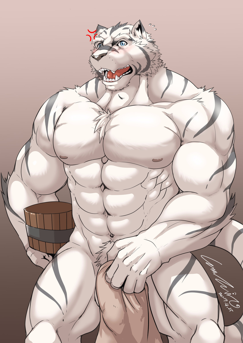 abs anthro blush enaeric feline grimoire_of_zero looking_at_viewer male mammal mercenary_(character) muscular nude pecs simple_background solo tiger towel